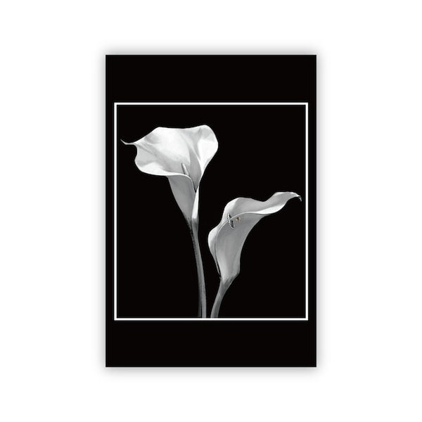 BONJI – CARTON e.U.